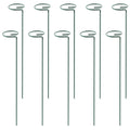 Garden Plant Support Stakes for Single Stem