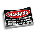 Liberal Feelings Decal