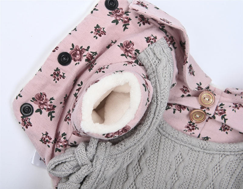 Teddy dog clothing in autumn and winter