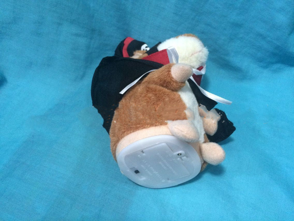 Talking electric hamster