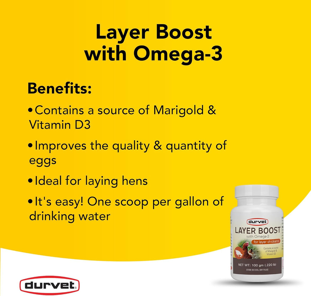 Wellness Chicken Durvet Layer Boost Chickens Poultry Vitamin & Electrolyte Supplement 100g