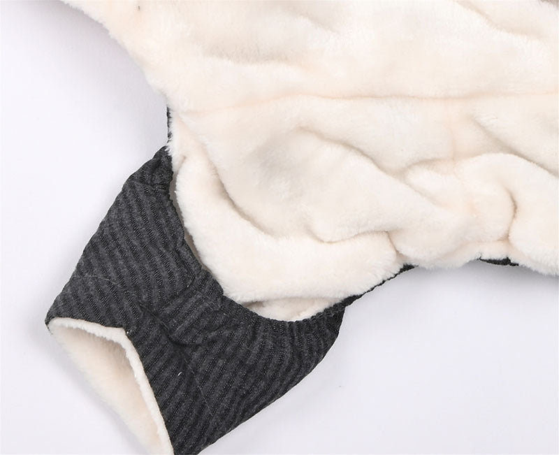 Teddy dog clothing in autumn and winter