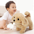 Children's Electric Animal Plush Toys Corgi Teddy Bunny