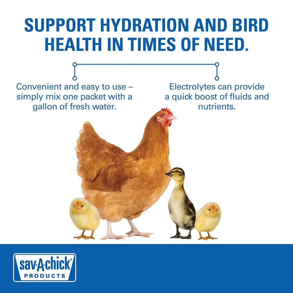 Chicken Bird Sav-a-chick Poultry Vitamins Electrolytes 3-pack Supplement Stress Relief
