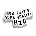 H20 - Hard Hat Decal