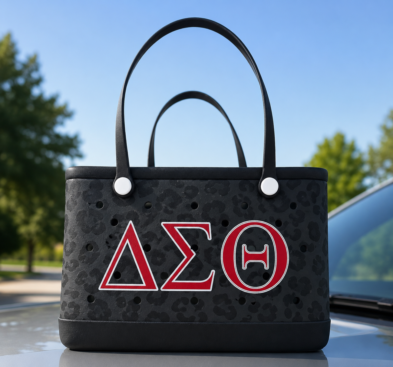 Large Delta Sigma Theta EVA Beach Bag