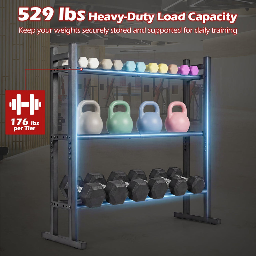 3-Tier Dumbbell Rack with 529 LB Capacity