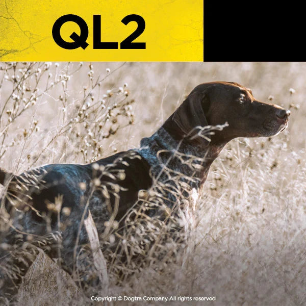 Dogtra Ql2 Quail Launcher Black Remote Bird Training Launcher Adjustable Spring