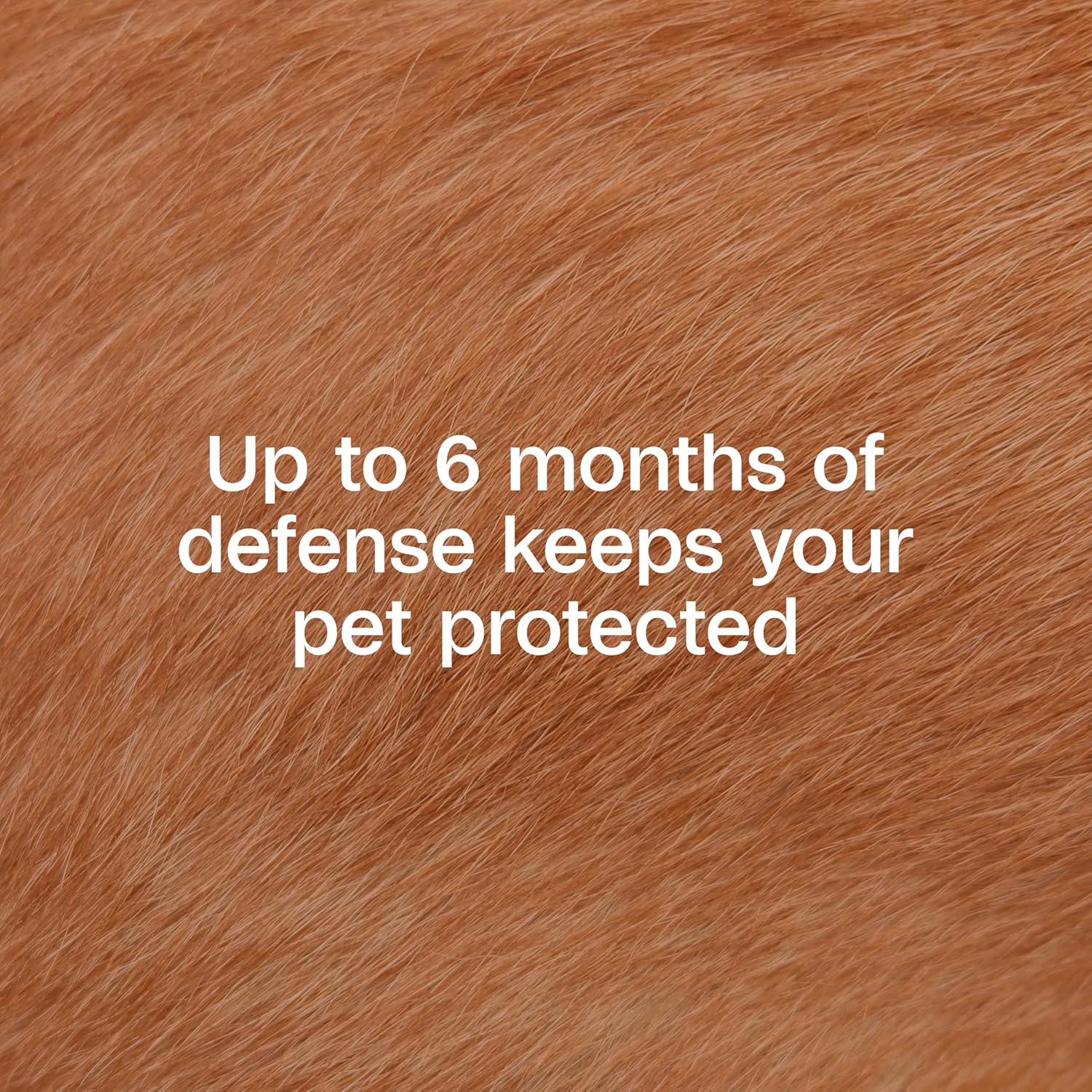 Adams Flea & Tick Collar for Dogs & Puppies Flea Collar Protection 4 Count