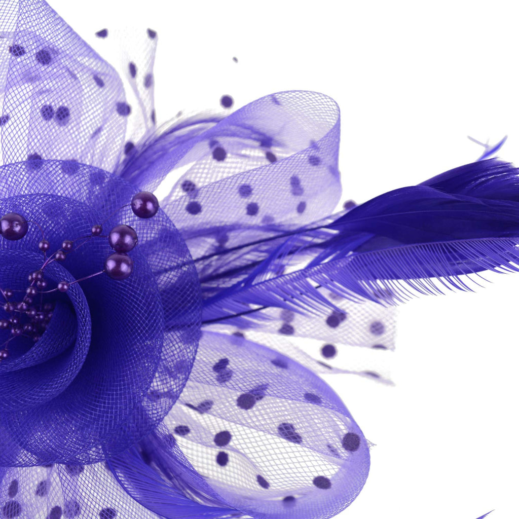 DRESHOW Fascinators Hat Flower Mesh Ribbons Feathers on a Headband and a Clip Tea Party Headwear for Girls and Women