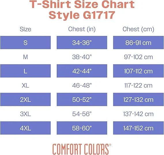 Unisex Mexico Goose Embroidered Comfort Colors® T-Shirt – Mexico Futbol Silly Goose Tee