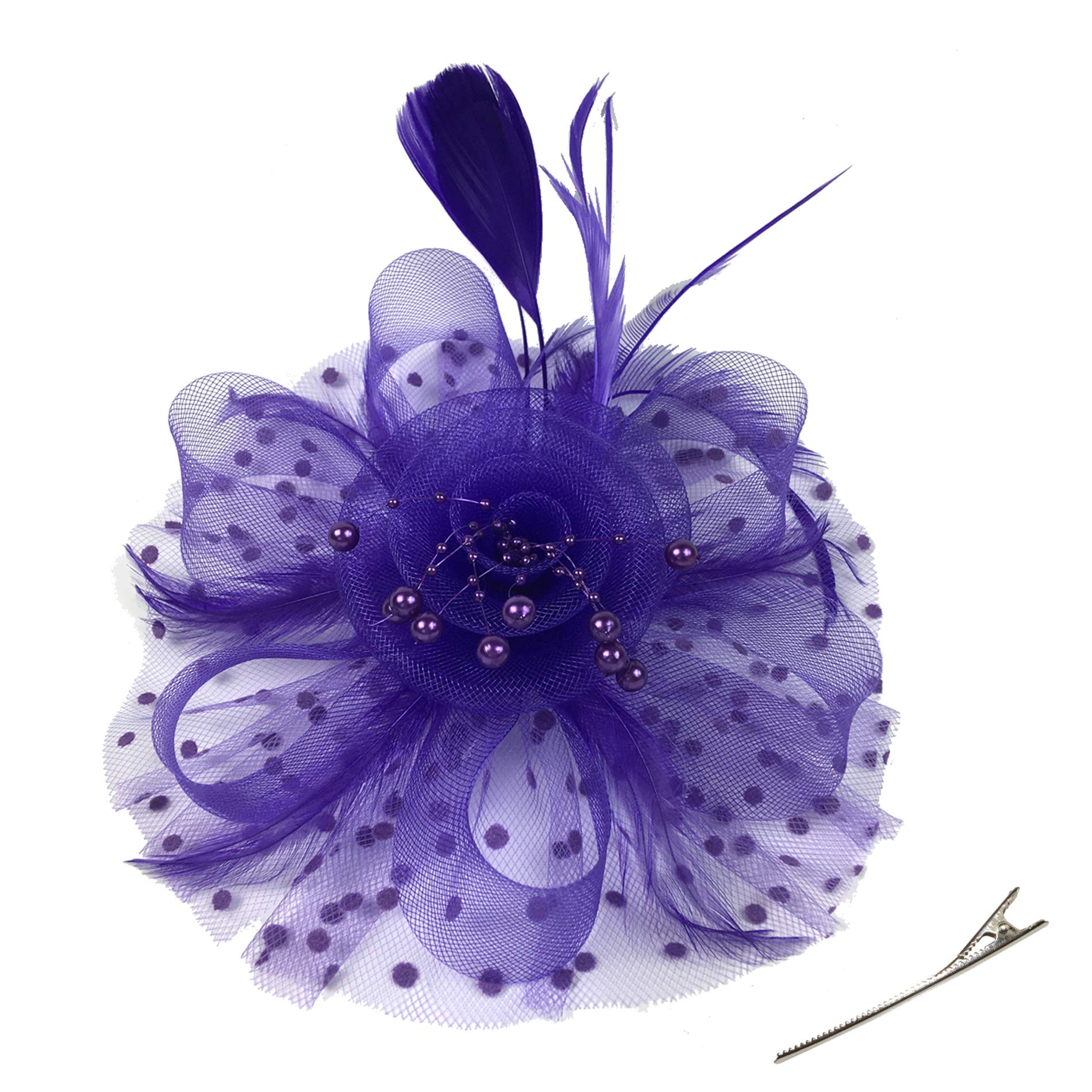 DRESHOW Fascinators Hat Flower Mesh Ribbons Feathers on a Headband and a Clip Tea Party Headwear for Girls and Women