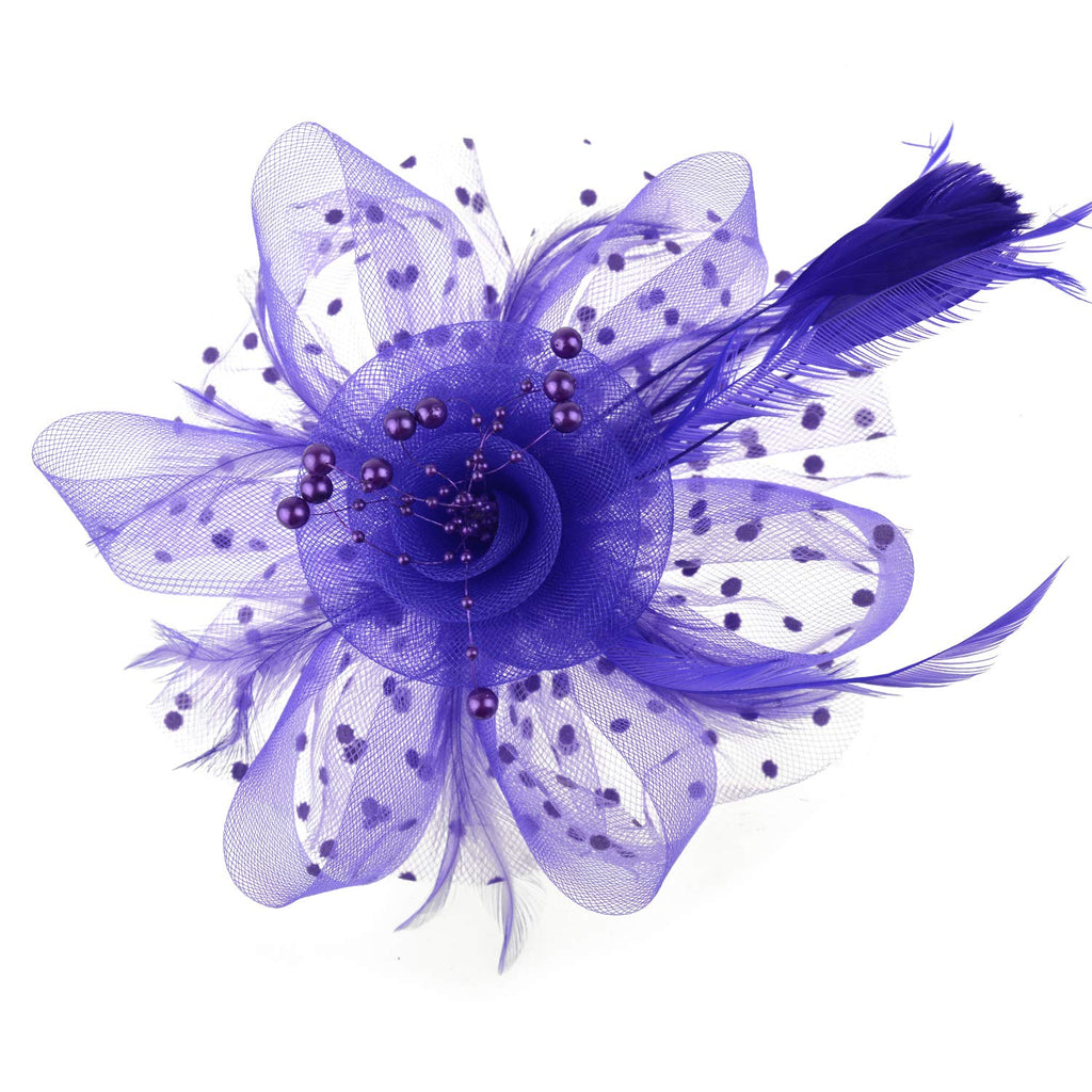 DRESHOW Fascinators Hat Flower Mesh Ribbons Feathers on a Headband and a Clip Tea Party Headwear for Girls and Women