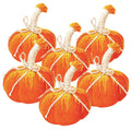 5x7" Md Pumpkin Ornament Set of 6