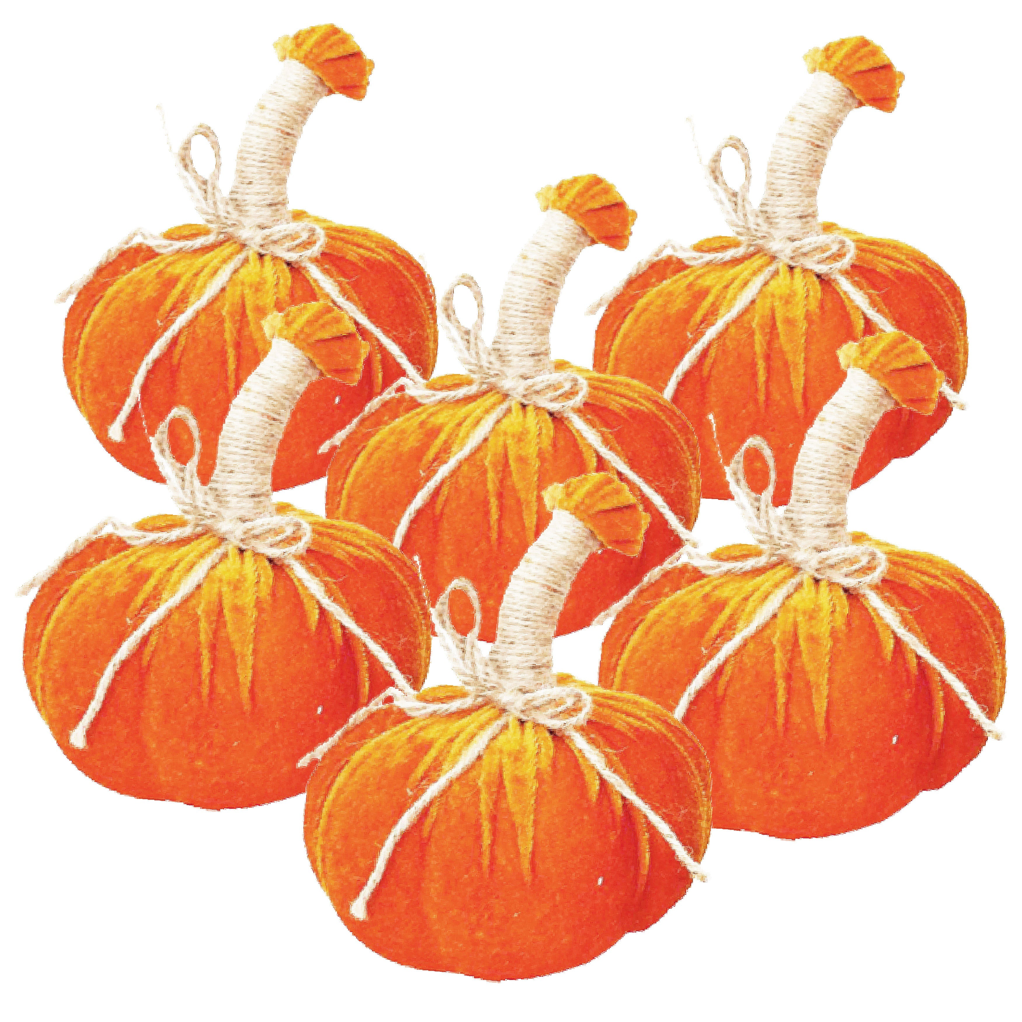 5x7" Md Pumpkin Ornament Set of 6