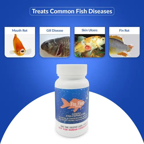 Fish Ceph 500mg Capsules Aquarium – 60 Count – Water Care Support