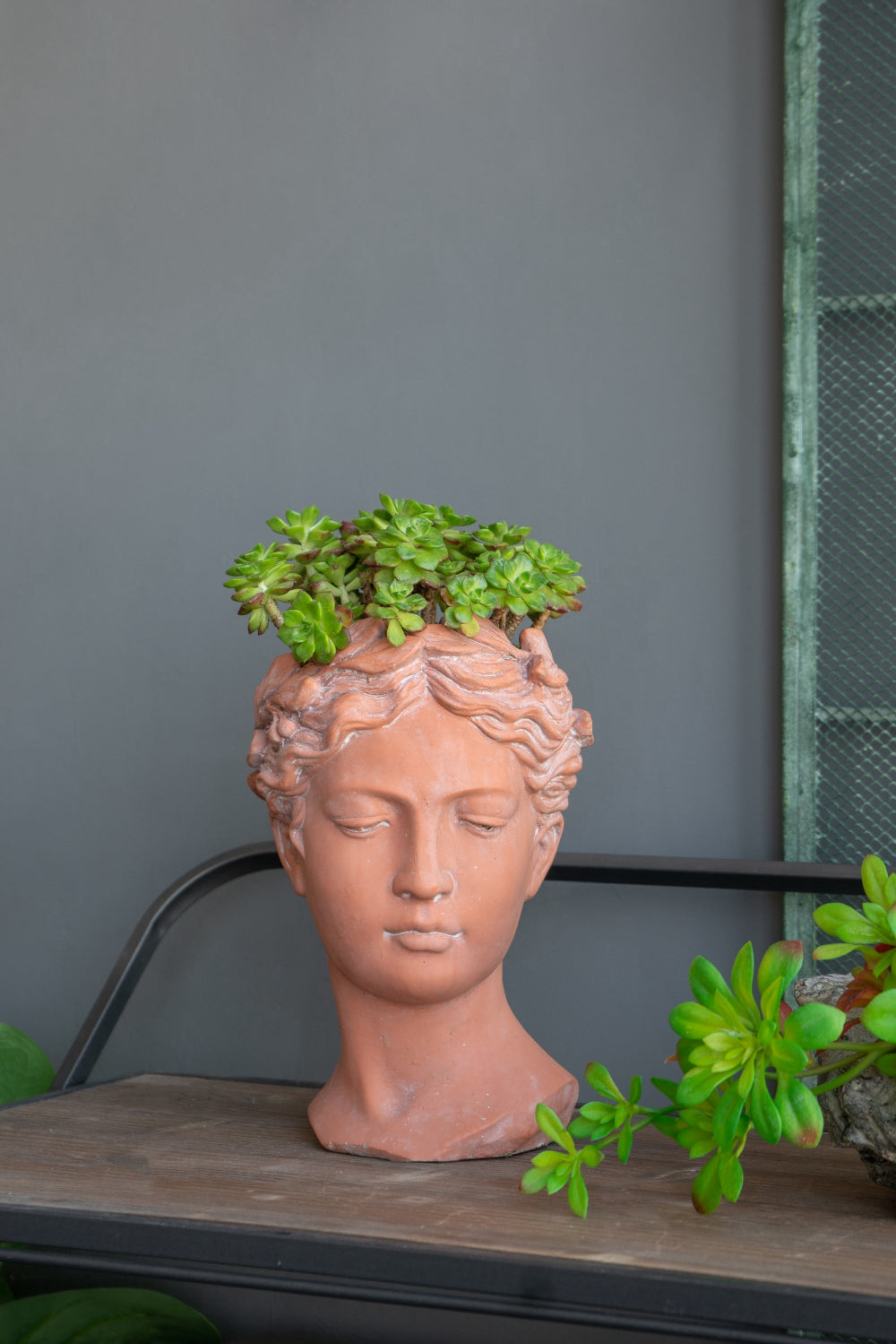 D7x11" Visage Head Bust Planter