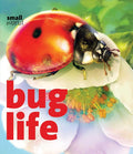 Bug Life (Small World)