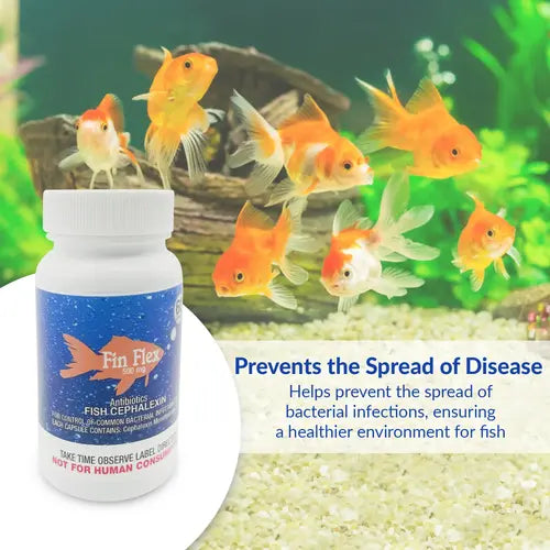 Fish Ceph 500mg Capsules Aquarium – 60 Count – Water Care Support