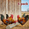 Little Giant Galvanized Chicken Reel-Top Poultry Range Feeder 48" 6-Pack