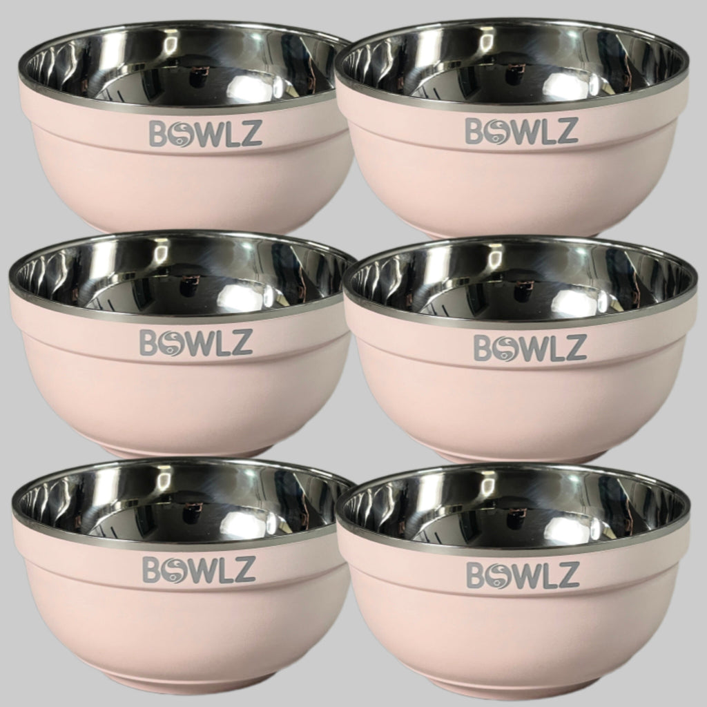 BOWLZ Set of 6 Stainless Steel Insulated Bowl 16 oz Pink (New) ~Keeps Ice Cream Cold!~