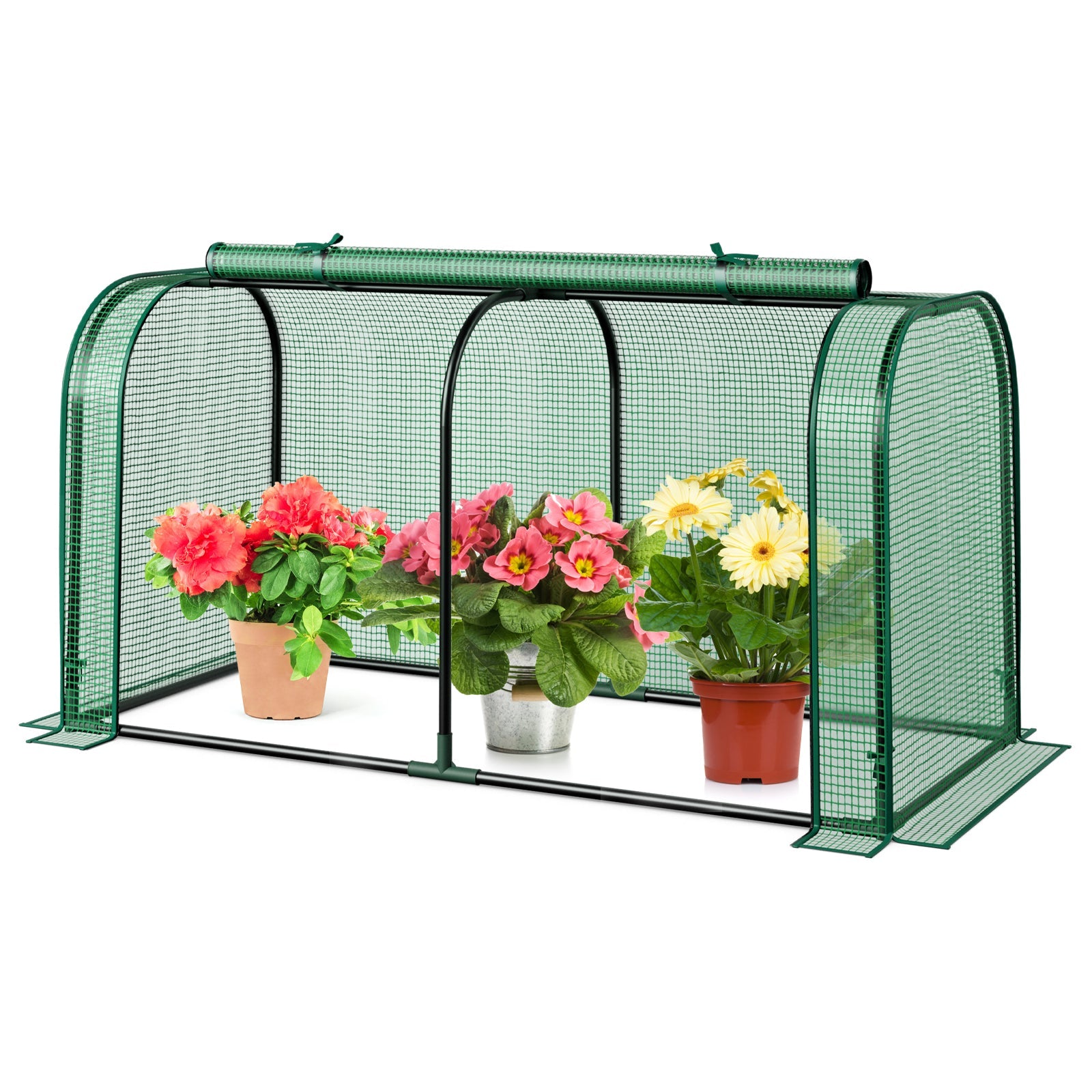 Mini Tunnel Greenhouse with Roll-up Zipper Door