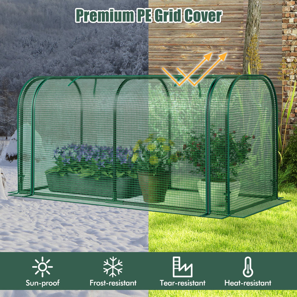 Mini Tunnel Greenhouse with Roll-up Zipper Door