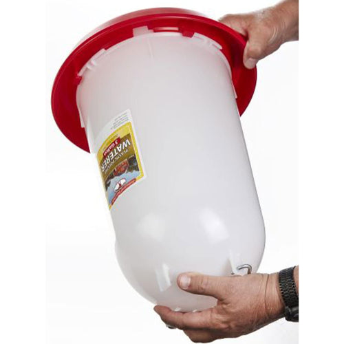 Little Giant Plastic Poultry Drinker Heavy Duty Waterer 3 Gallon