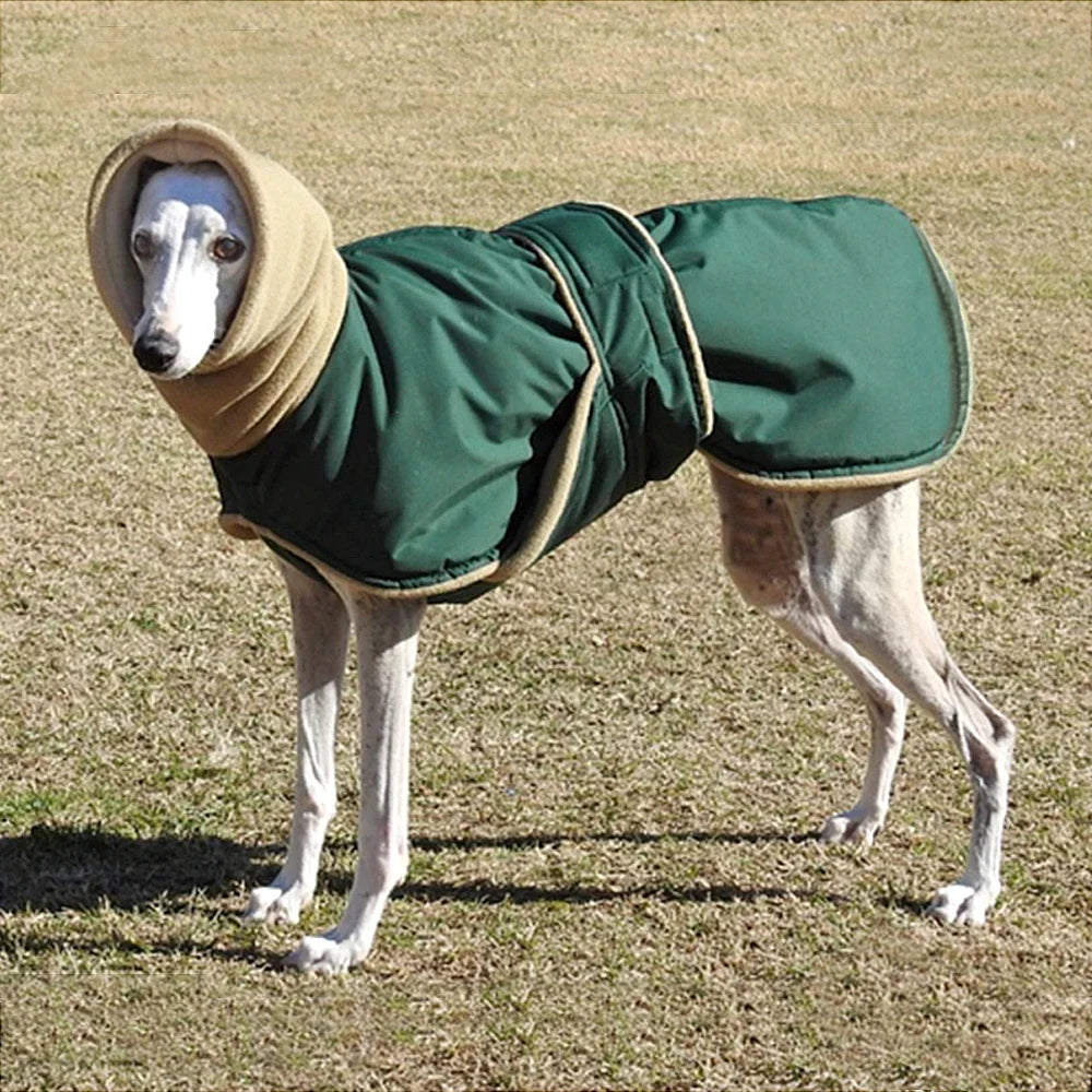 Arctic Paws: Cozy Waterproof Jacket for Big Dogs