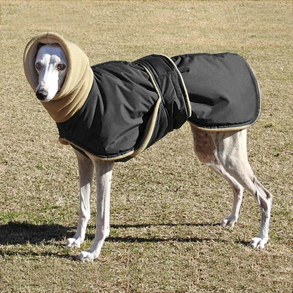 Arctic Paws: Cozy Waterproof Jacket for Big Dogs