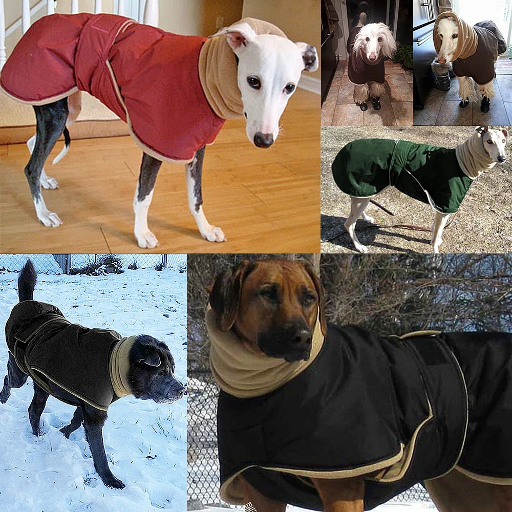 Arctic Paws: Cozy Waterproof Jacket for Big Dogs
