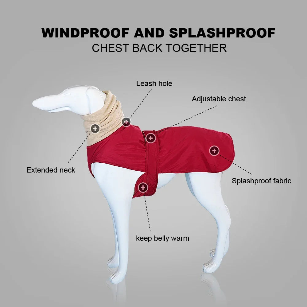Arctic Paws: Cozy Waterproof Jacket for Big Dogs