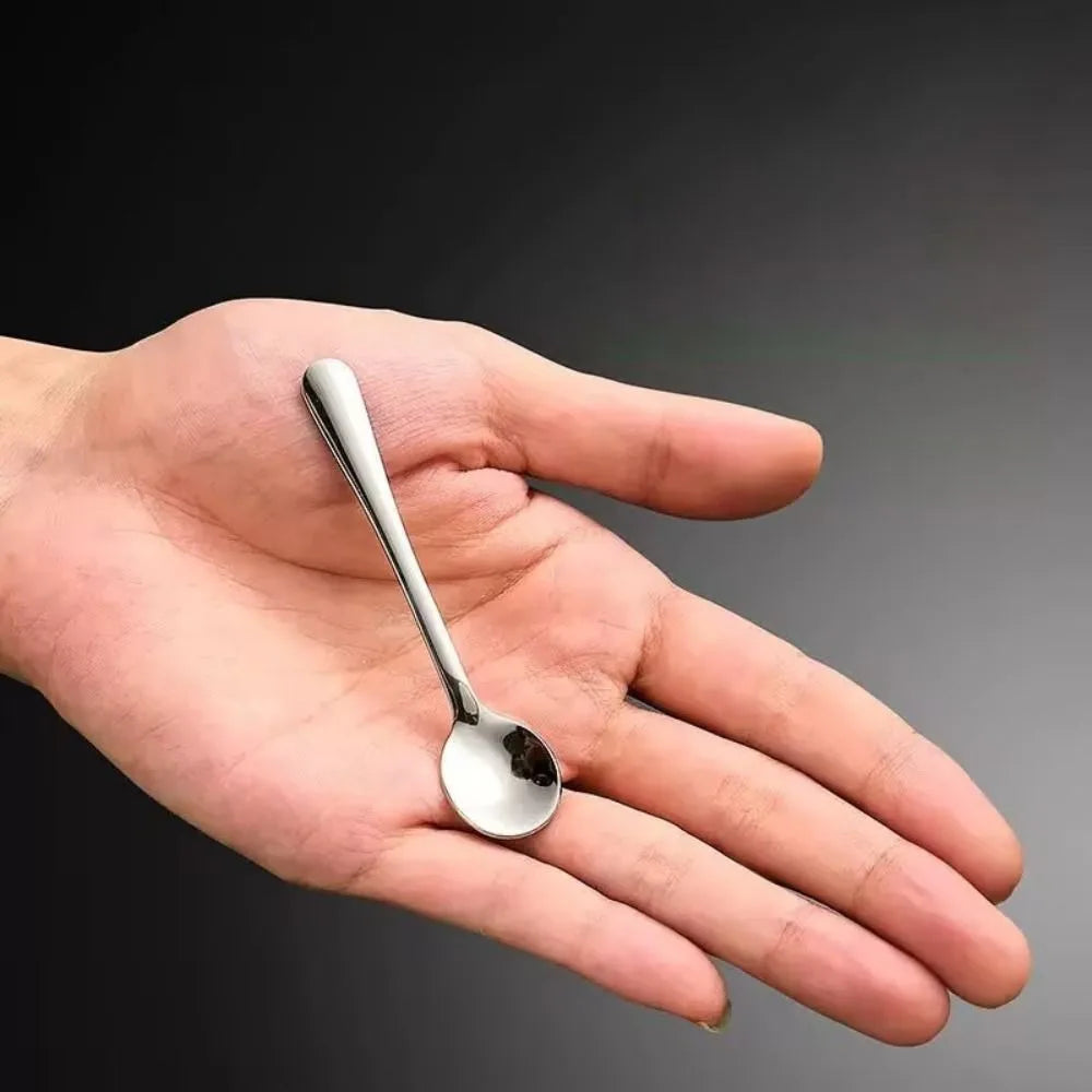Portable Stainless Steel Tiny Spoon Set | Mini Coffee Spoons for Small Jars