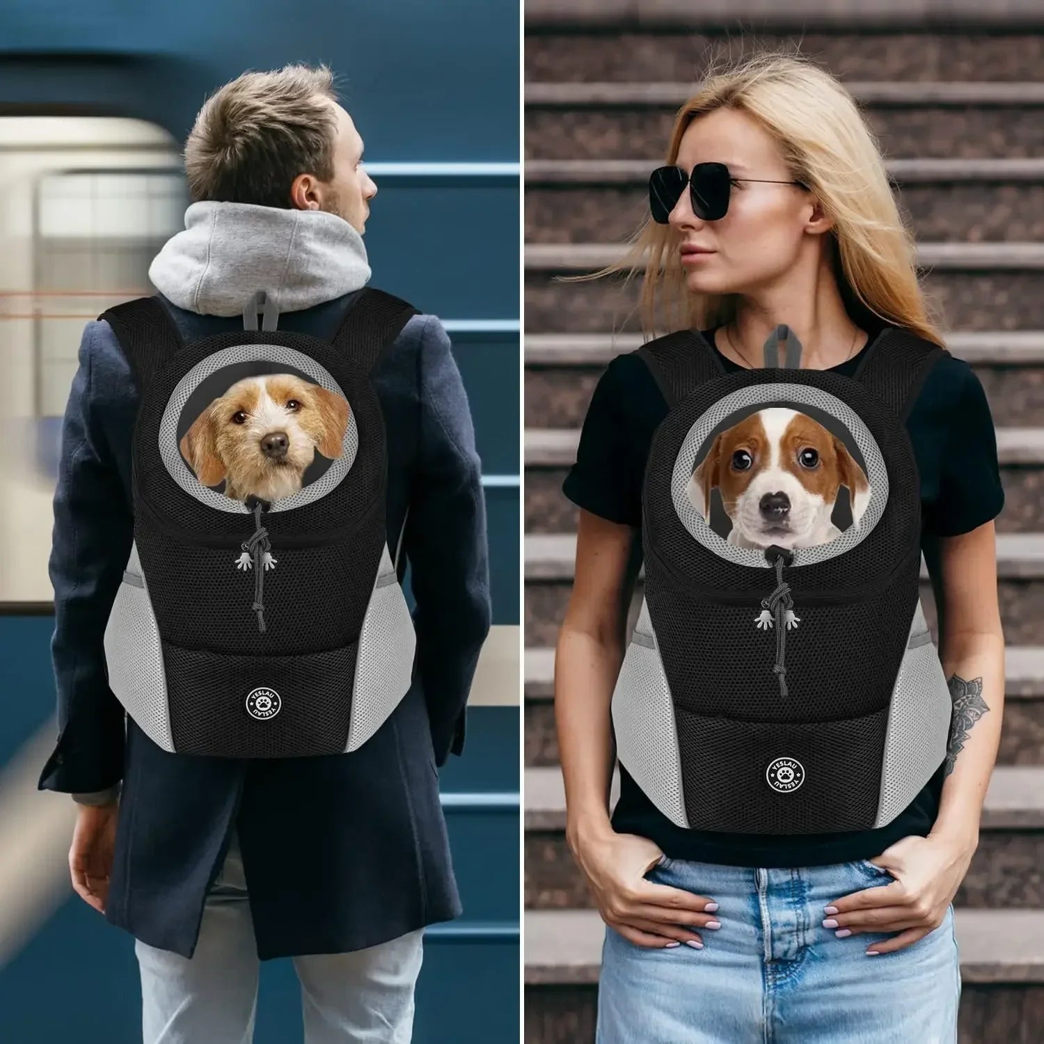 Pawsome Adventure Pack: Cozy Carrier for Outdoor Fun