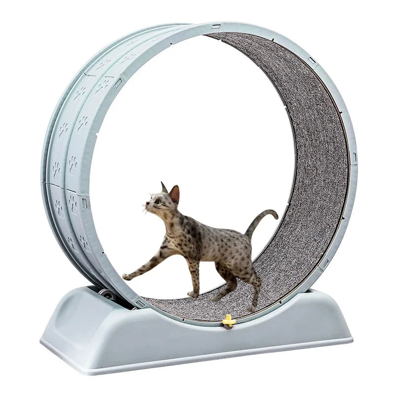 Purrfect Fit: Silent Cat Exercise Wheel