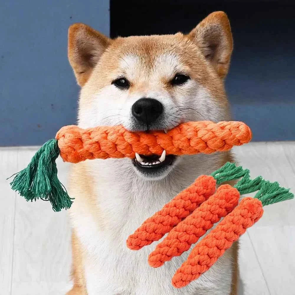 Carrot Rope Dog Chew Toy for Dental Health