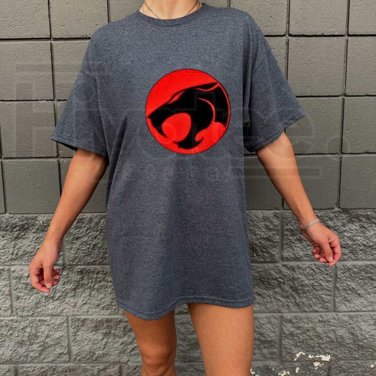 "ThunderCats" Classic Cartoon – Retro Anime Oversized Harajuku Top