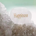 Natural Palm Stone Mineral Power Stone Crystal Agate