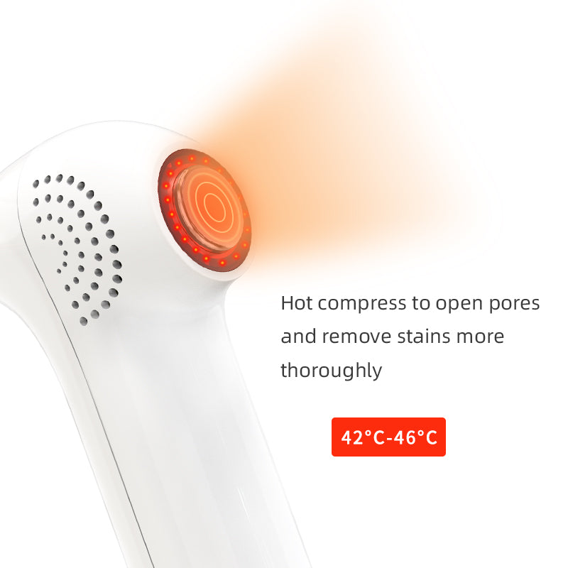 5 Speed Vacuum, 4 Replacement Heads, Hot Cold Light Care LED Screen