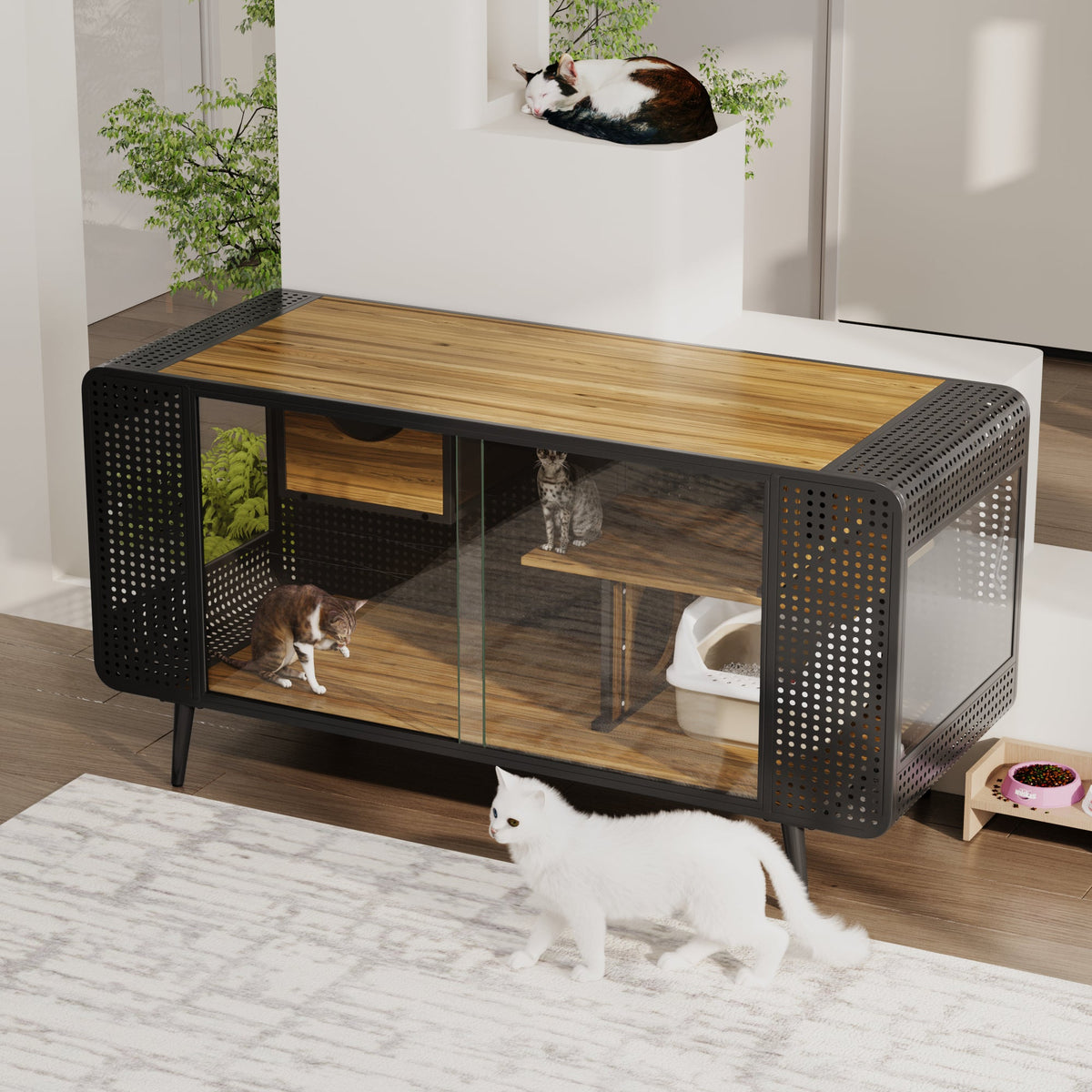 55.12" Spacious Cat House with Tempered Glass