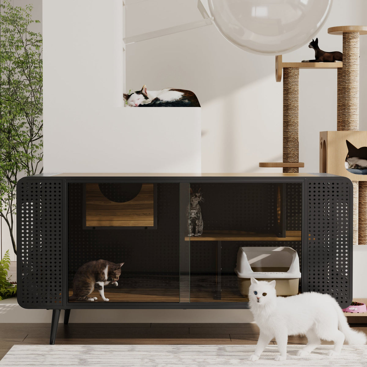 55.12" Spacious Cat House with Tempered Glass