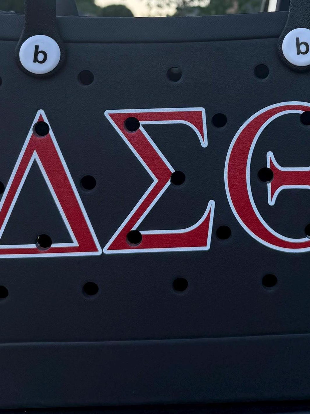 Delta Sigma Theta EVA Beach Bag