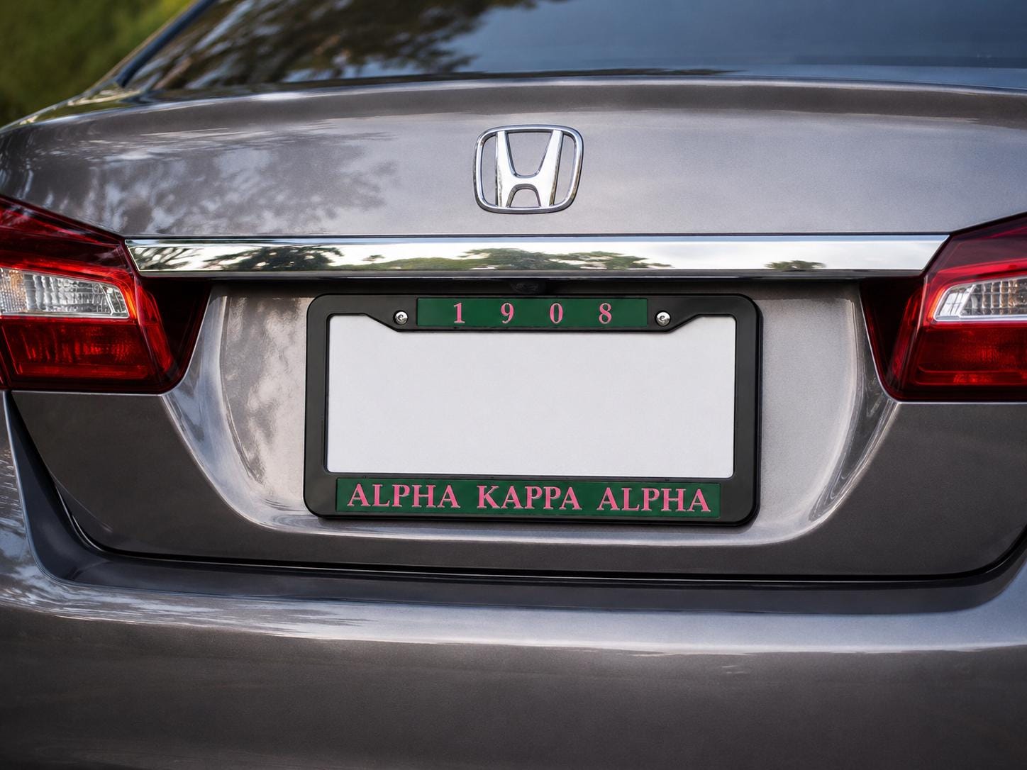 AKA License Plate 1908 Green and Pink