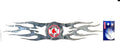 Boston Red Sox Drip Mold Plastic 14"x4" Rear Flame Auto Graphic Emblem Decal