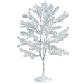 Snowy Black Walnut Tree