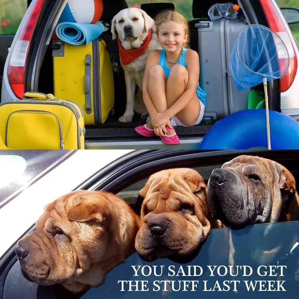 Adjustable Pet Car Seat Belt Harness | Dog and Cat Safety Strap