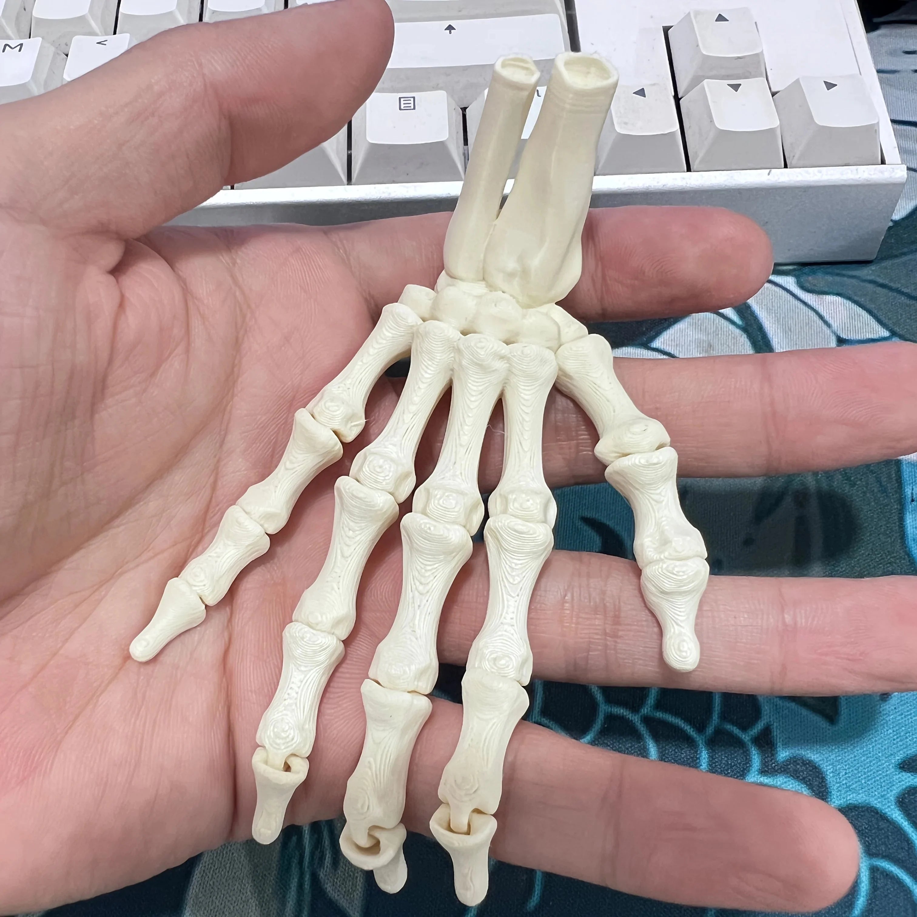 Scary Skull Skeleton Hands | Halloween Party Props & Haunted House Decoration