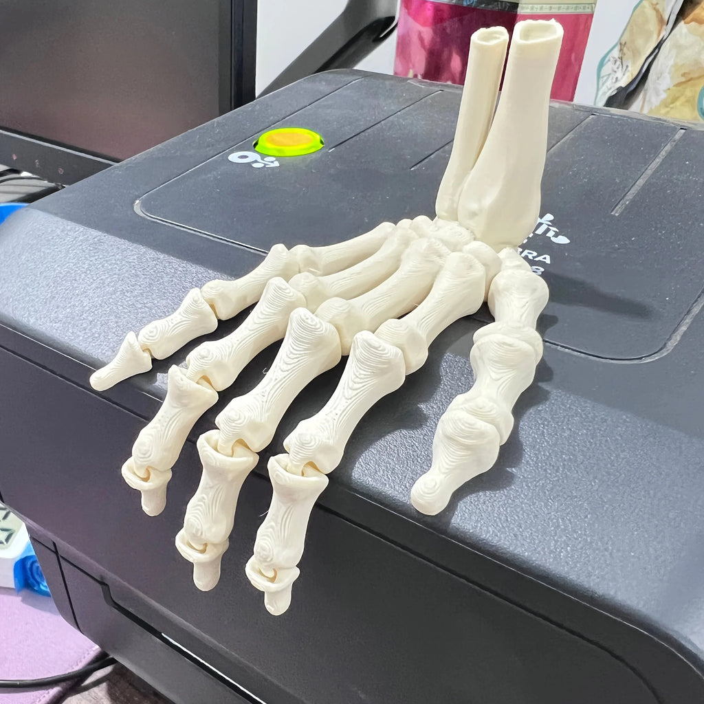 Scary Skull Skeleton Hands | Halloween Party Props & Haunted House Decoration